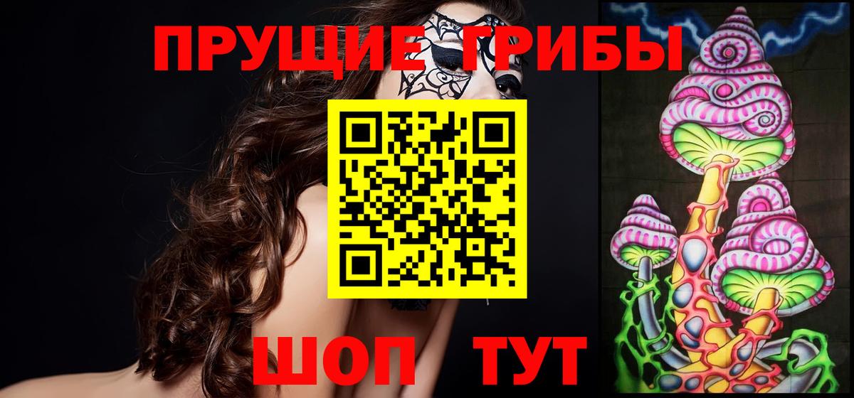 Чапаевск  Галлюциногенные грибы Psilocybe  Вход с VPN 